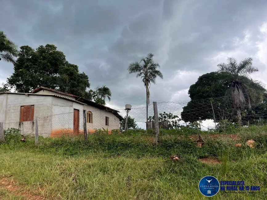 Foto 6 de Fazenda / Haras à venda, 33m2 em Goiás - GO