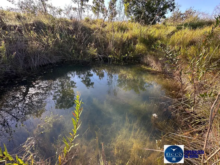 Foto 18 de Chácara à venda, 55000m2 em Piracanjuba - GO
