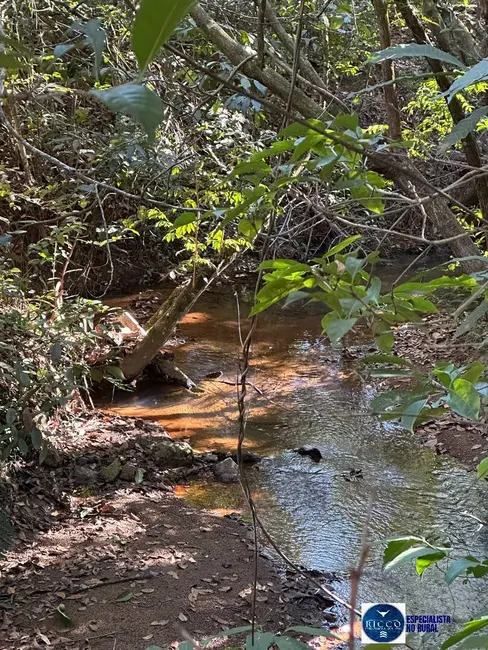 Foto 14 de Chácara à venda, 55000m2 em Piracanjuba - GO
