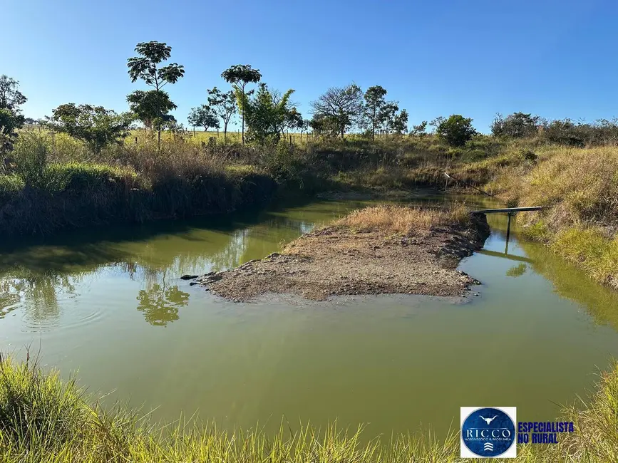 Foto 8 de Chácara à venda, 55000m2 em Piracanjuba - GO