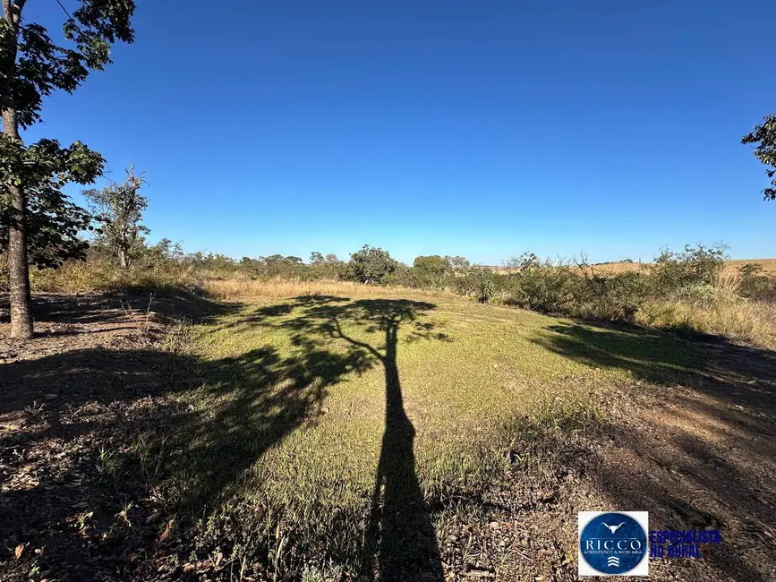 Foto 12 de Chácara à venda, 55000m2 em Piracanjuba - GO