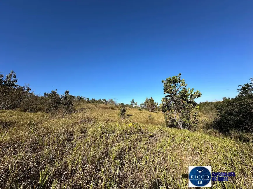 Foto 13 de Chácara à venda, 55000m2 em Piracanjuba - GO