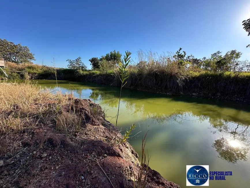 Foto 11 de Chácara à venda, 55000m2 em Piracanjuba - GO