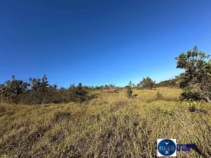 Foto 20 de Chácara à venda, 55000m2 em Piracanjuba - GO