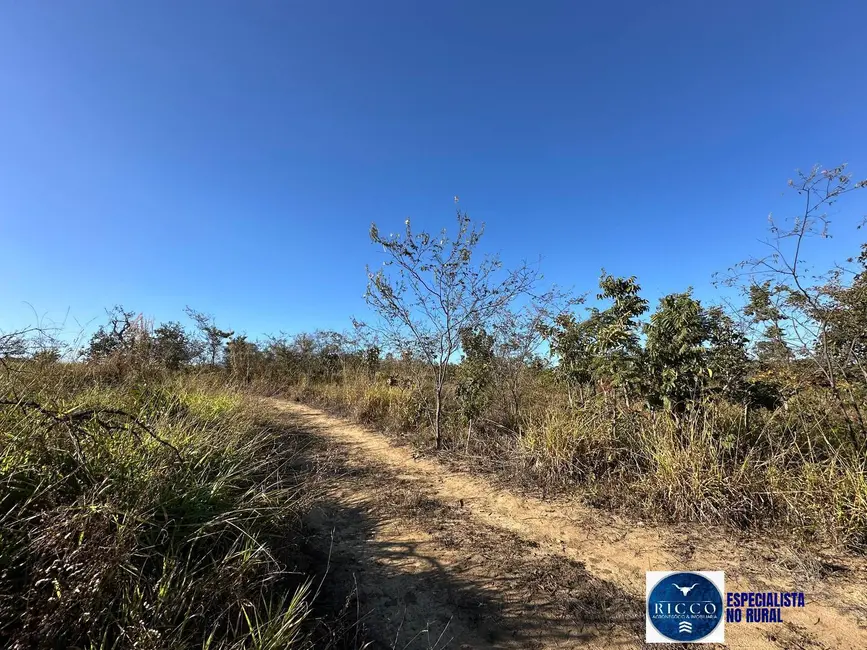 Foto 7 de Chácara à venda, 55000m2 em Piracanjuba - GO