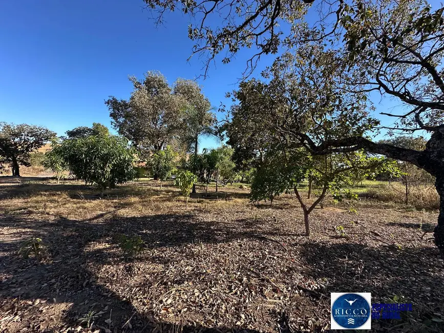 Foto 16 de Chácara à venda, 55000m2 em Piracanjuba - GO