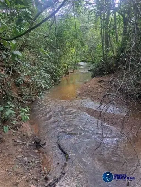 Foto 3 de Chácara à venda, 55000m2 em Piracanjuba - GO