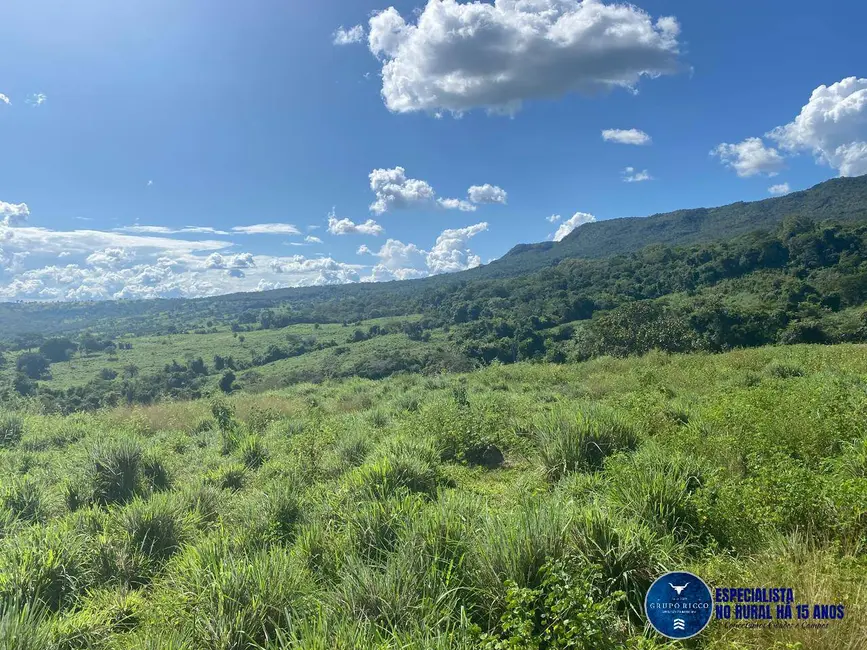 Foto 9 de Fazenda / Haras com 4 quartos à venda, 214m2 em Israelandia - GO