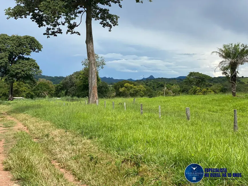 Foto 6 de Fazenda / Haras com 4 quartos à venda, 214m2 em Israelandia - GO