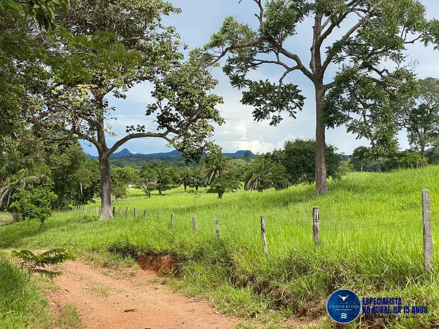 Foto 8 de Fazenda / Haras com 4 quartos à venda, 214m2 em Israelandia - GO