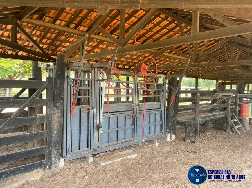 Foto 3 de Fazenda / Haras com 4 quartos à venda, 214m2 em Israelandia - GO