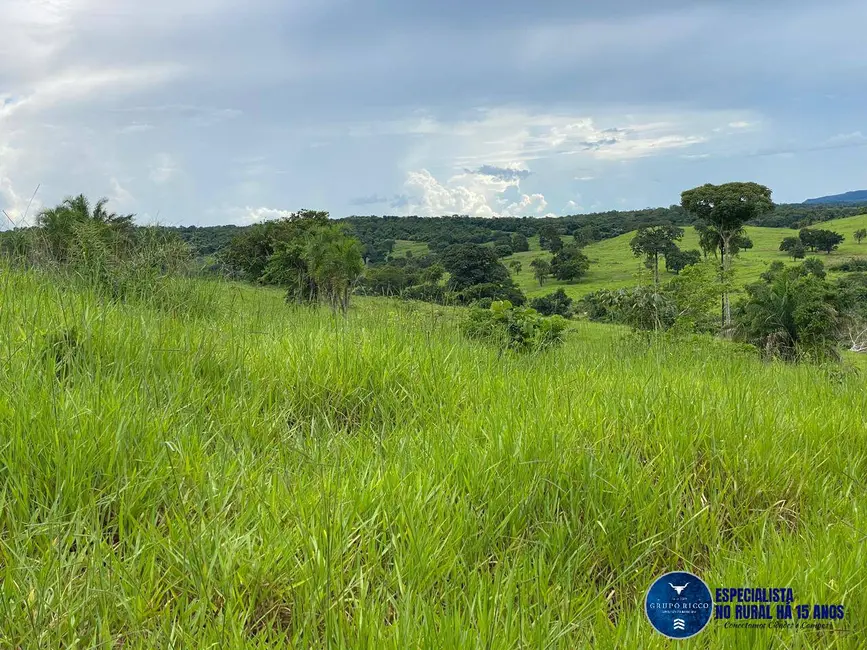 Foto 4 de Fazenda / Haras com 4 quartos à venda, 214m2 em Israelandia - GO
