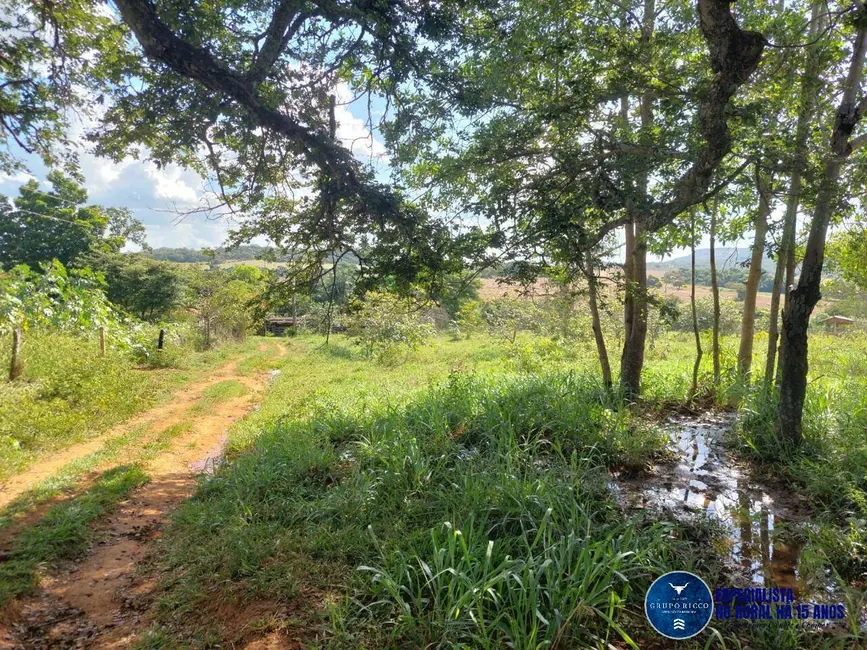 Chácara à venda em Caldas Novas - GO - imagem 9 Foto 9 de Chácara à venda em Caldas Novas - GO