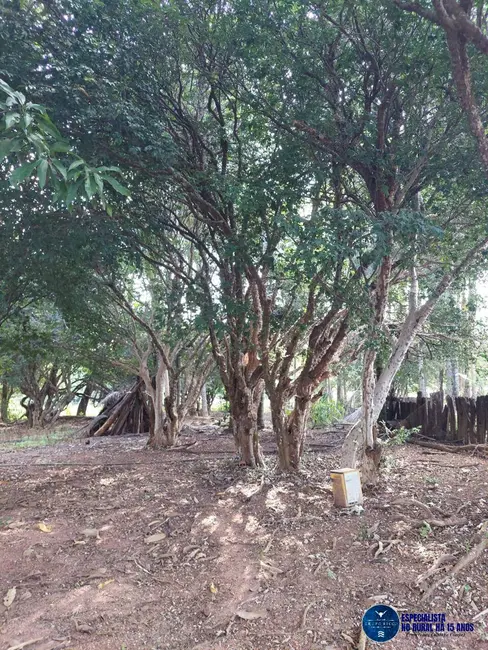 Foto 18 de Chácara à venda em Caldas Novas - GO