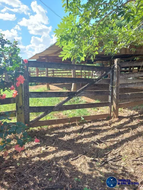Foto 21 de Chácara à venda em Caldas Novas - GO