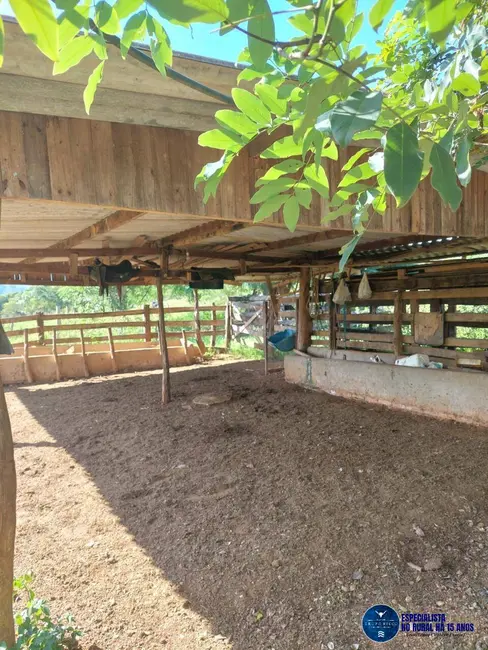 Foto 13 de Chácara à venda em Caldas Novas - GO