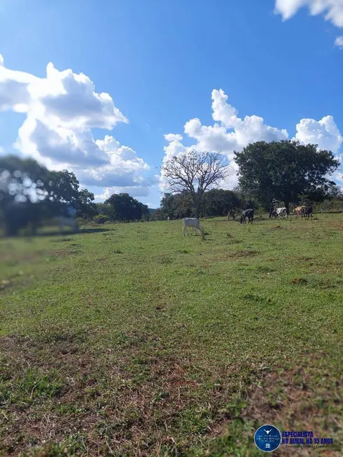 Foto 19 de Chácara à venda em Caldas Novas - GO