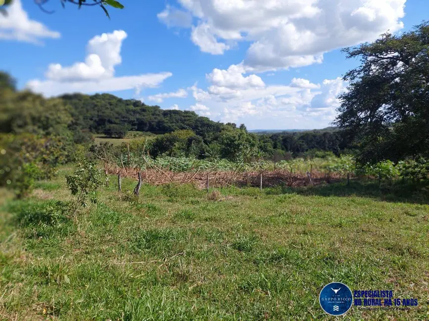 Foto 11 de Chácara à venda em Caldas Novas - GO