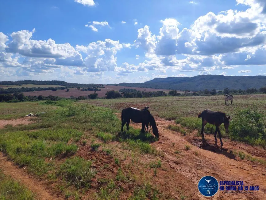 Foto 1 de Chácara à venda em Caldas Novas - GO