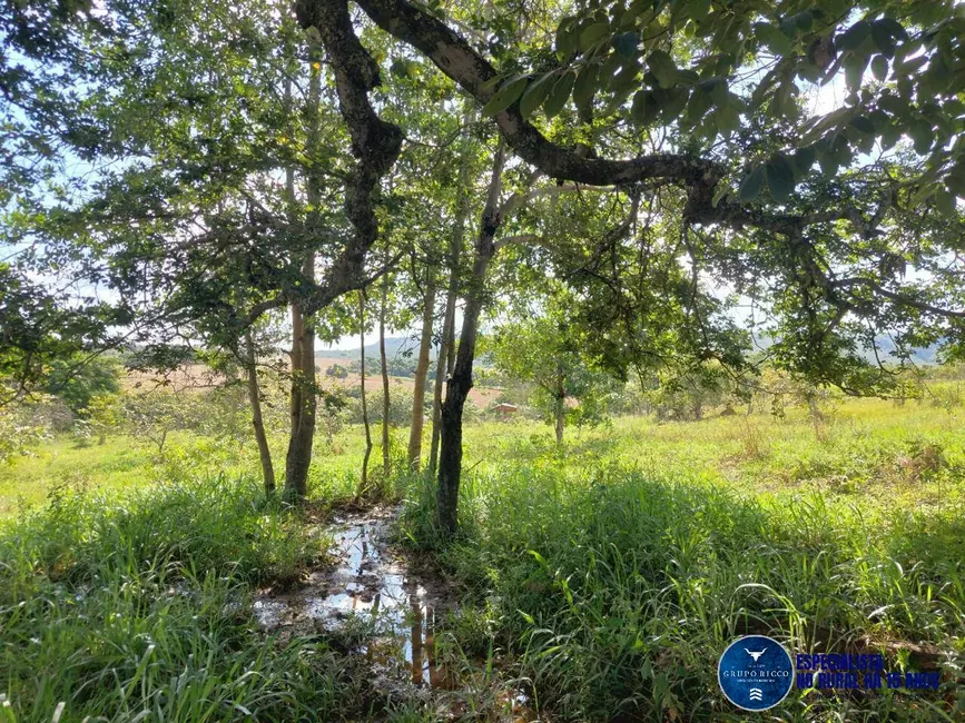 Chácara à venda em Caldas Novas - GO - imagem 6 Foto 6 de Chácara à venda em Caldas Novas - GO