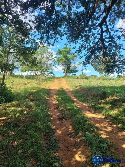 Foto 22 de Chácara à venda em Caldas Novas - GO