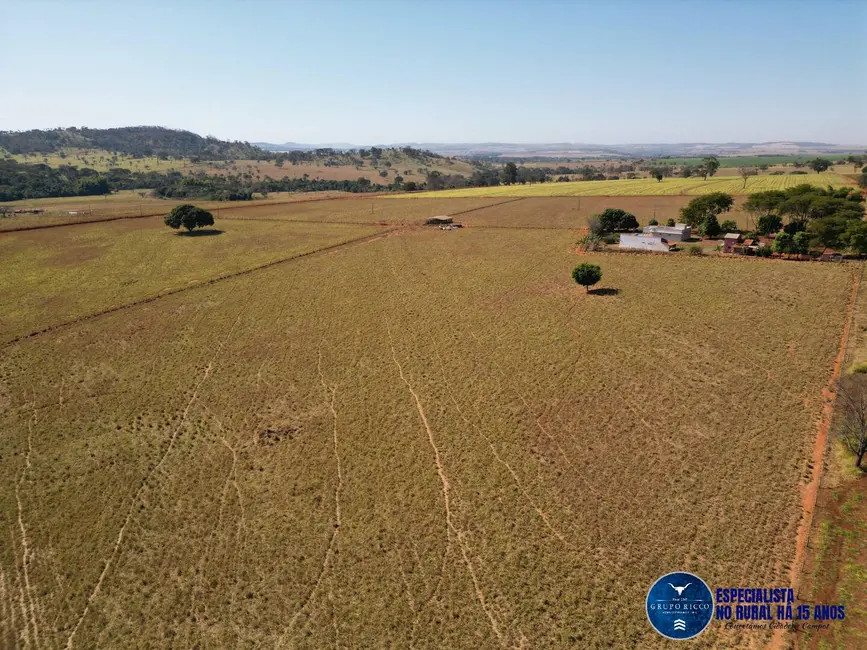 Foto 11 de Chácara à venda em Avelinopolis - GO