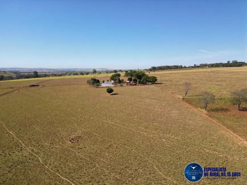 Foto 8 de Chácara à venda em Avelinopolis - GO