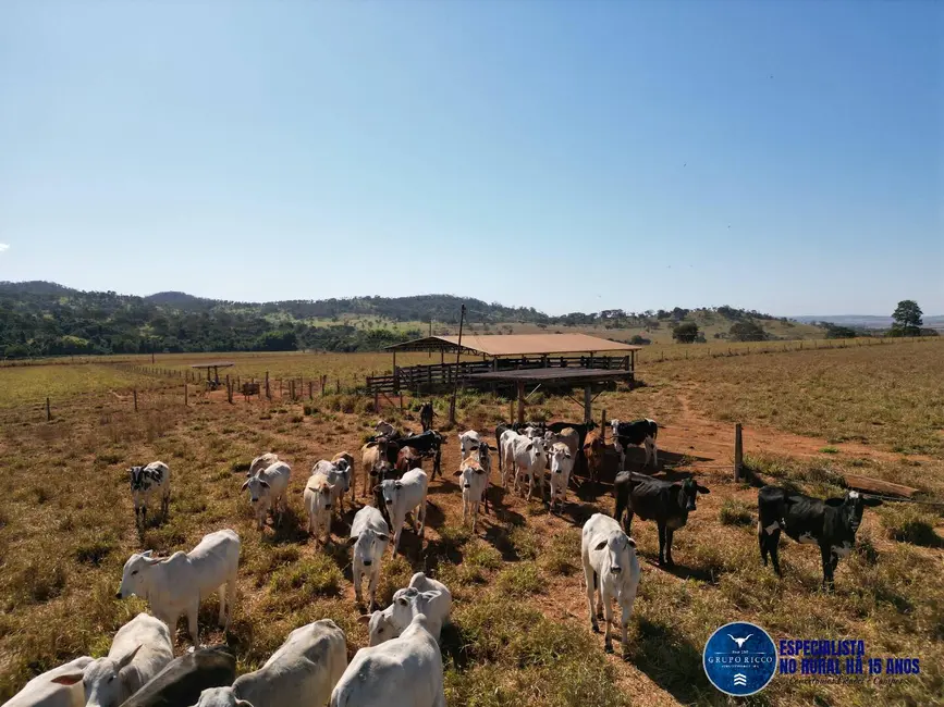 Foto 2 de Chácara à venda em Avelinopolis - GO