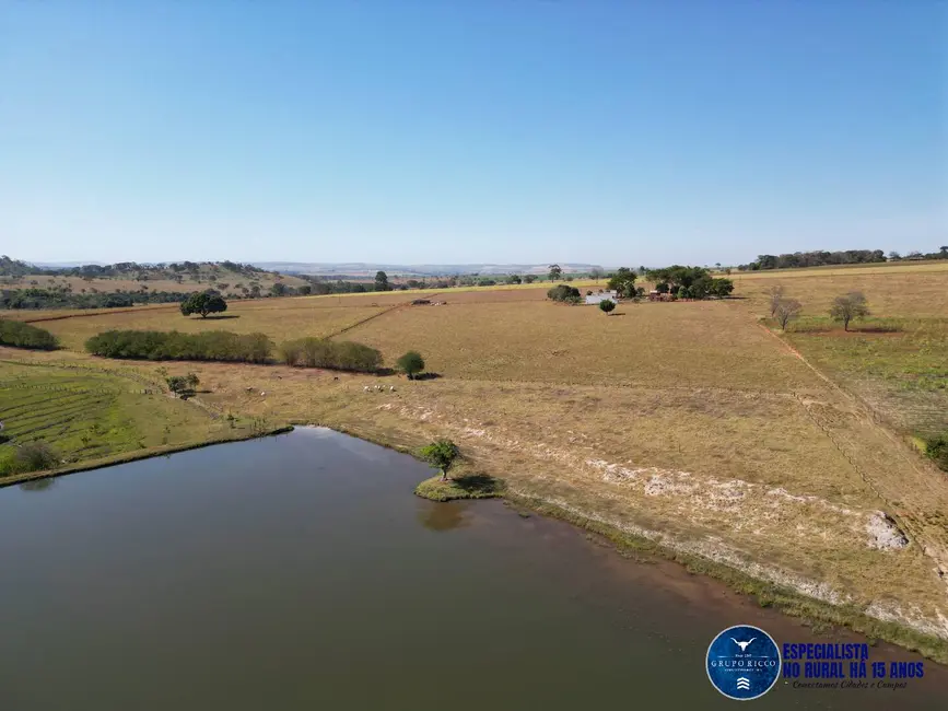 Foto 14 de Chácara à venda em Avelinopolis - GO