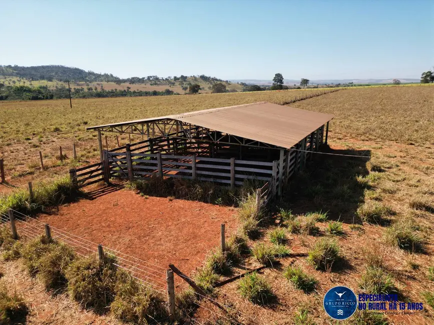 Foto 4 de Chácara à venda em Avelinopolis - GO
