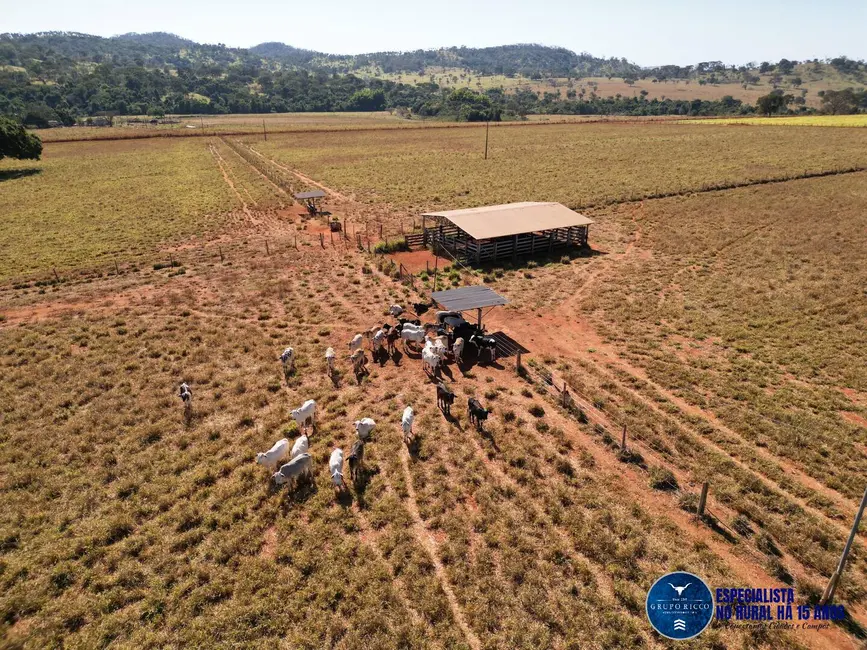 Foto 19 de Chácara à venda em Avelinopolis - GO