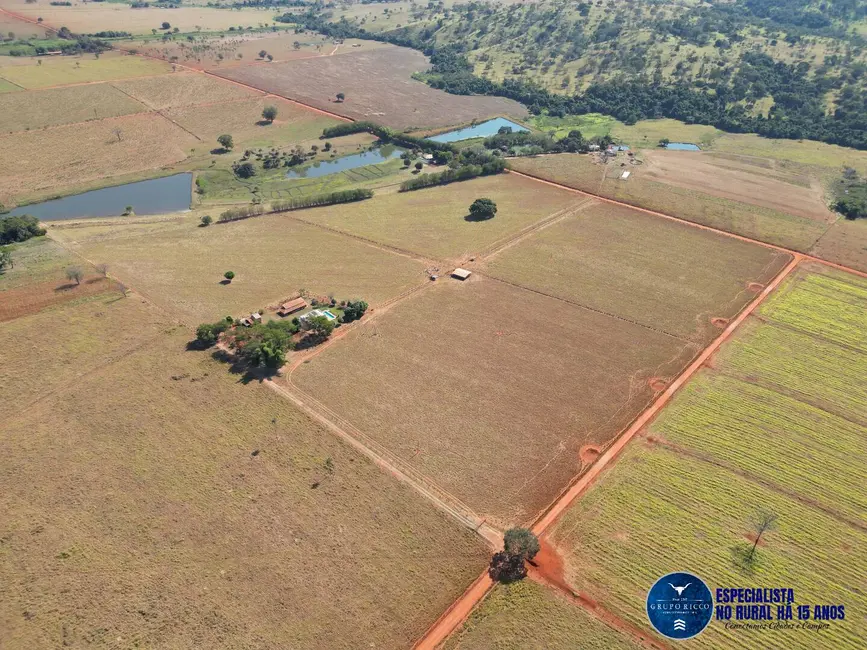 Foto 5 de Chácara à venda em Avelinopolis - GO