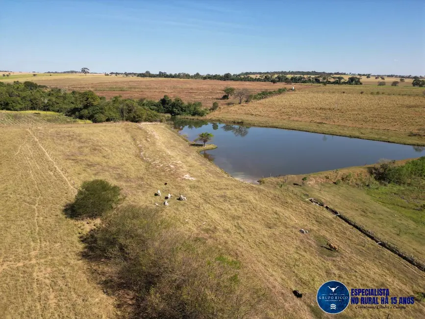 Foto 9 de Chácara à venda em Avelinopolis - GO