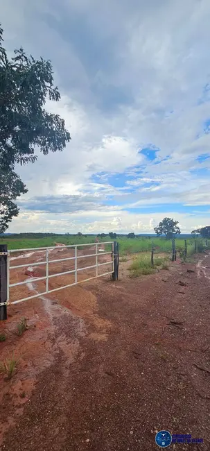 Foto 4 de Fazenda / Haras à venda, 168m2 em Palmas - TO