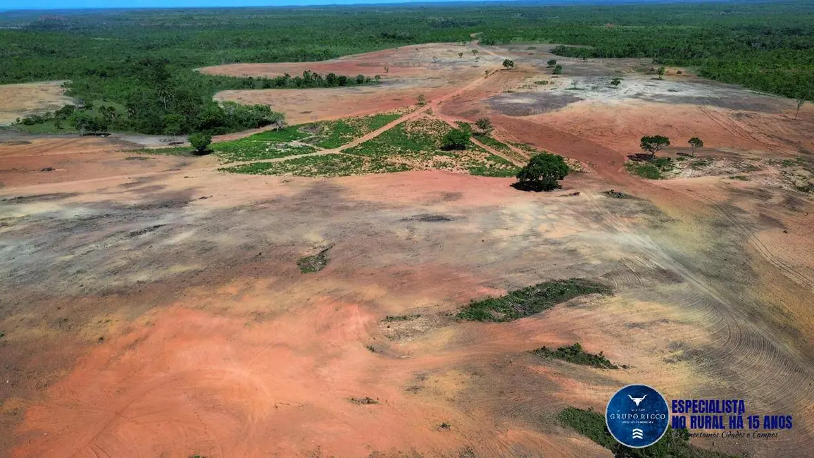 Foto 3 de Fazenda / Haras à venda, 168m2 em Palmas - TO