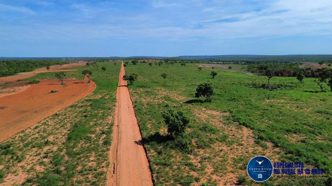 Foto 2 de Fazenda / Haras à venda, 168m2 em Palmas - TO