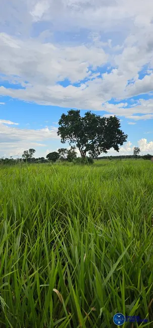 Foto 5 de Fazenda / Haras à venda, 168m2 em Palmas - TO