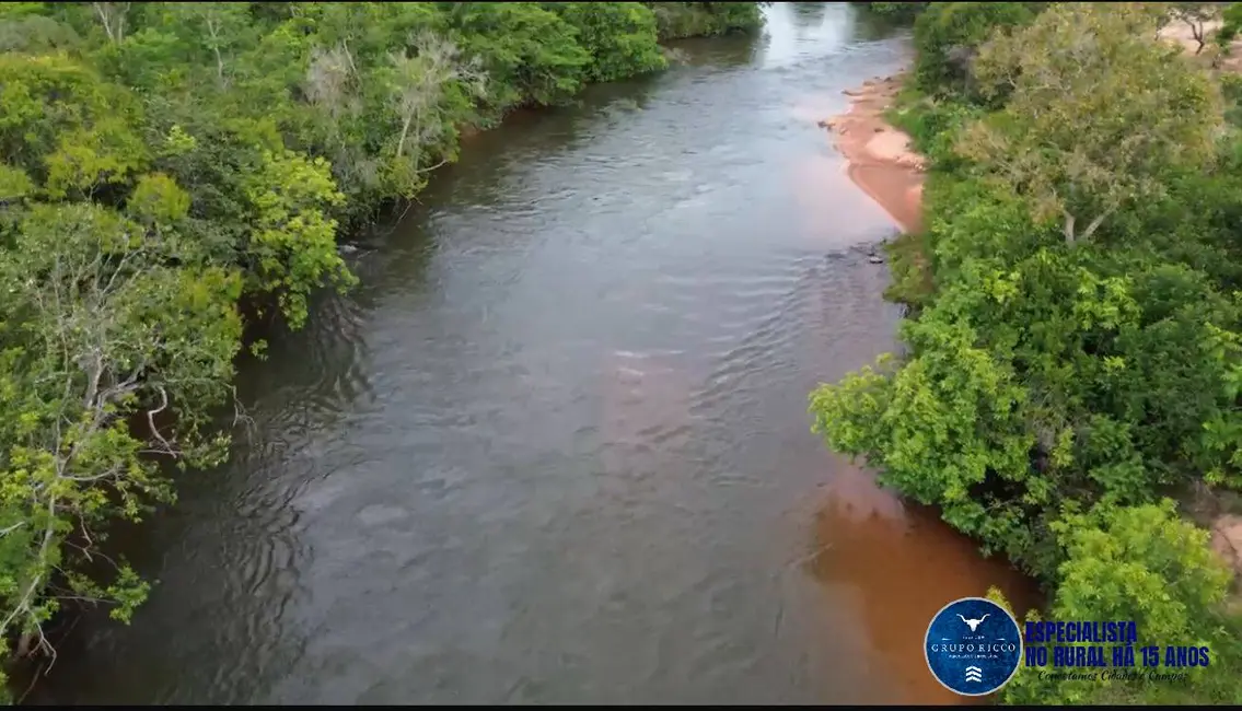 Foto 1 de Fazenda / Haras à venda, 168m2 em Palmas, TO