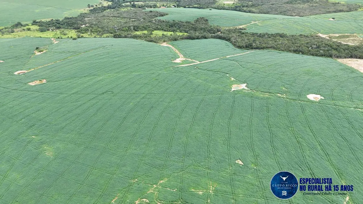 Fazenda / Haras à venda, 73m2 em Abadiania - GO - imagem 3 Foto 3 de Fazenda / Haras à venda, 73m2 em Abadiania - GO