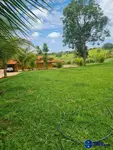 Imagem 8