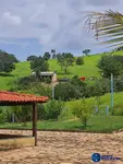 Imagem 4