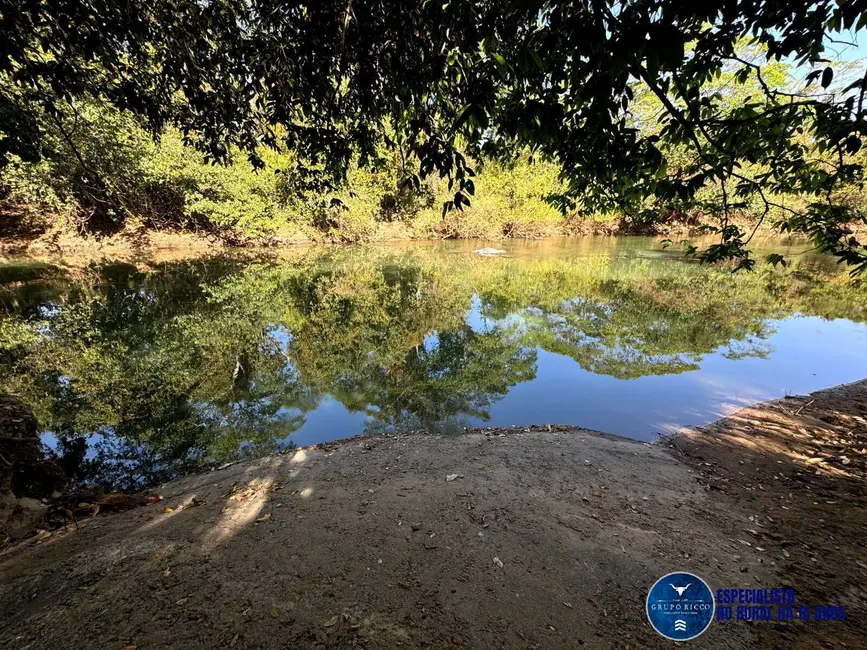 Foto 7 de Chácara à venda, 6150m2 em Cezarina - GO