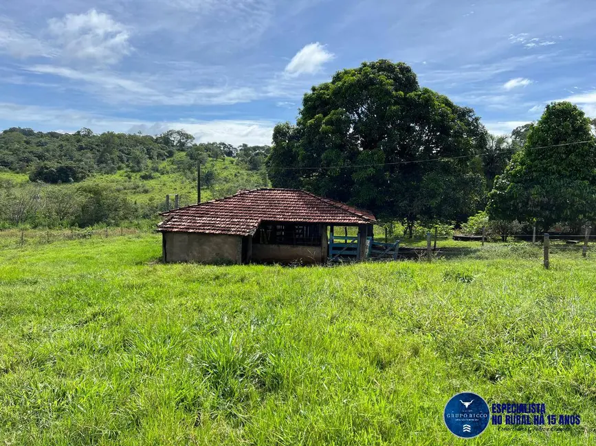 Foto 8 de Chácara com 4 quartos à venda em Neropolis - GO