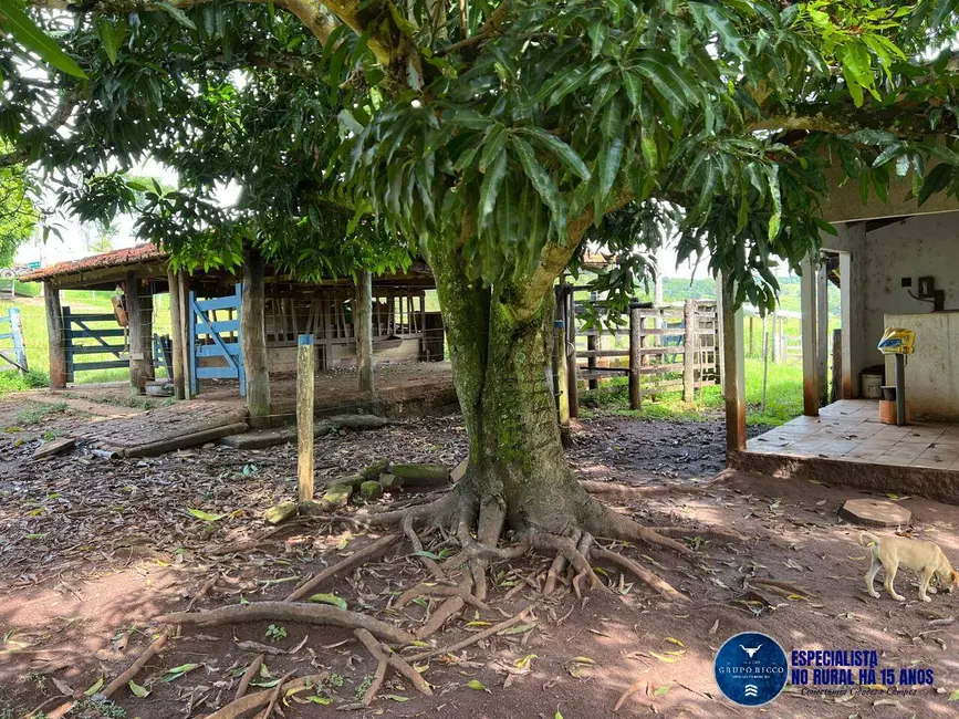 Foto 9 de Chácara com 4 quartos à venda em Neropolis - GO