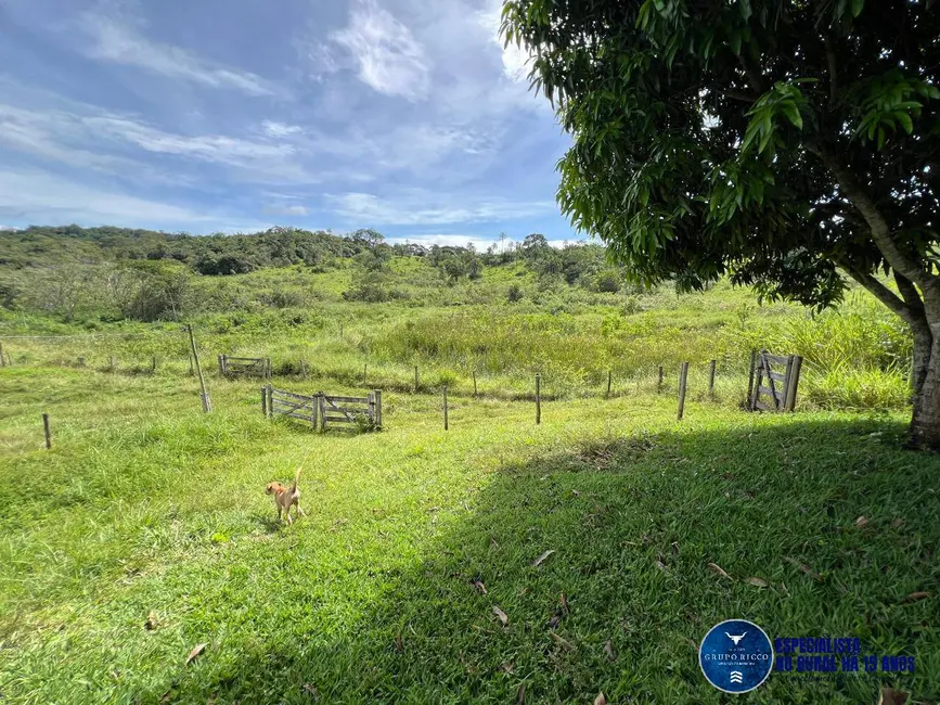 Foto 5 de Chácara com 4 quartos à venda em Neropolis - GO
