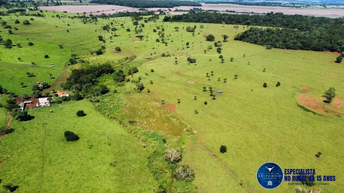 Fazenda / Haras à venda, 26m2 em Santa Barbara De Goias - GO - imagem 7 Foto 7 de Fazenda / Haras à venda, 26m2 em Santa Barbara De Goias - GO