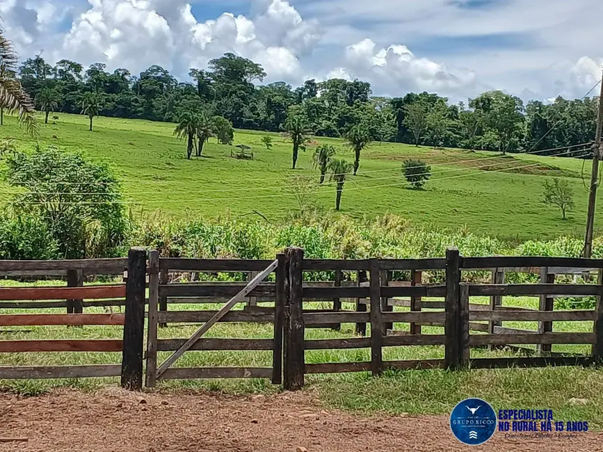 Fazenda / Haras à venda, 26m2 em Santa Barbara De Goias - GO - imagem 4 Foto 4 de Fazenda / Haras à venda, 26m2 em Santa Barbara De Goias - GO