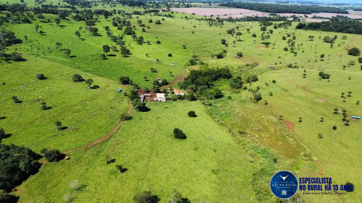 Fazenda / Haras à venda, 26m2 em Santa Barbara De Goias - GO - imagem 1 Foto 1 de Fazenda / Haras à venda, 26m2 em Santa Barbara De Goias - GO