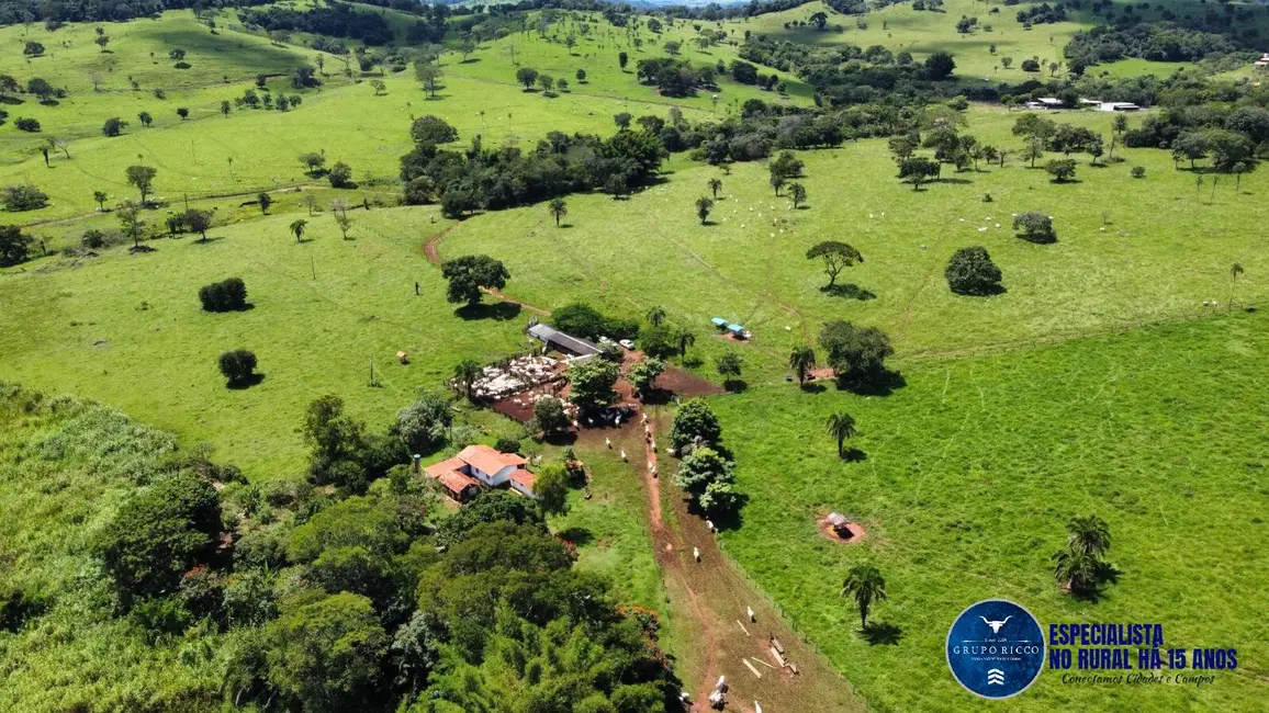 Fazenda / Haras à venda, 26m2 em Santa Barbara De Goias - GO - imagem 5 Foto 5 de Fazenda / Haras à venda, 26m2 em Santa Barbara De Goias - GO