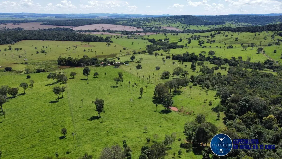 Fazenda / Haras à venda, 26m2 em Santa Barbara De Goias - GO - imagem 6 Foto 6 de Fazenda / Haras à venda, 26m2 em Santa Barbara De Goias - GO